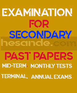 Form One Physics Examinations New Syllabus 2025