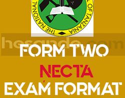 TEXTILES AND GARMENT CONSTRUCTION FORM TWO NECTA EXAM FORMAT 2026 ~ FTN 2026