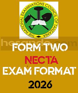 TEXTILES AND GARMENT CONSTRUCTION FORM TWO NECTA EXAM FORMAT 2026 ~ FTN 2026